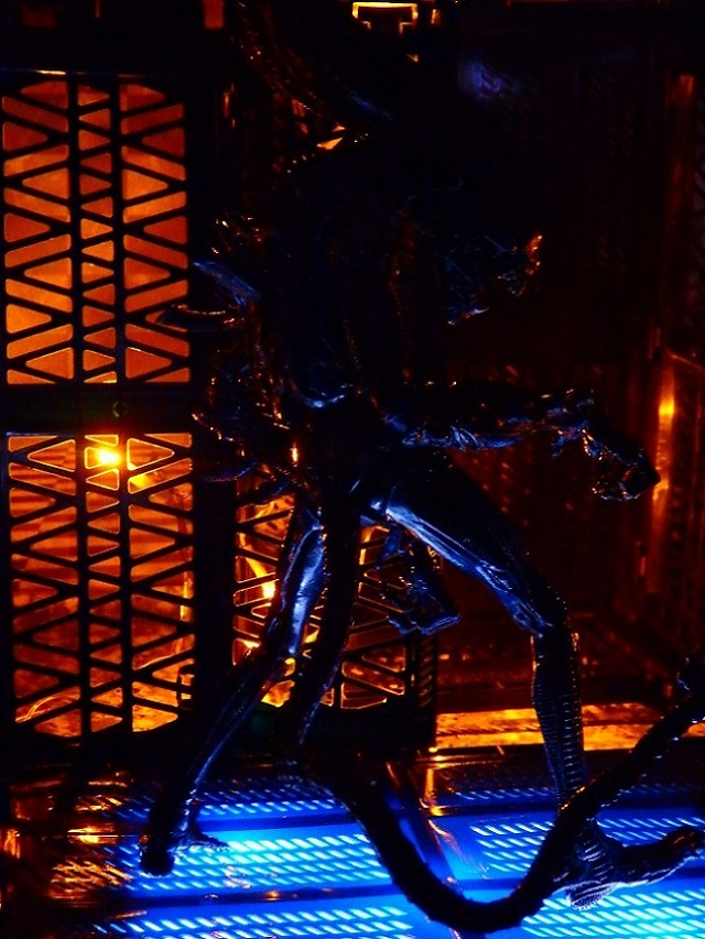 P1185401