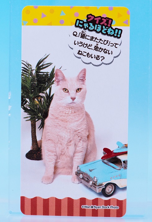 正栄デリシィ きまぐれねこにゃん チョコ : おもちゃの巣（玩具レビュー）