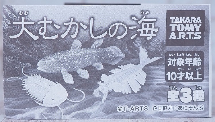 P8283037