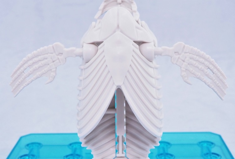 P6244030