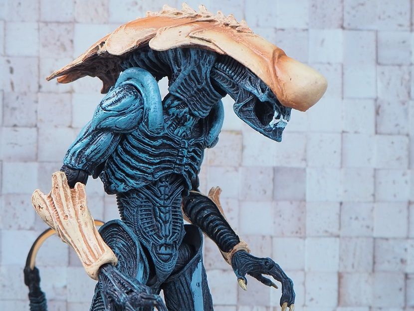 NECA クリサリス (CHRYSALIS) レビュー : おもちゃの巣（玩具