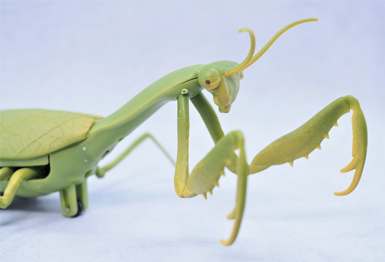 P6113442