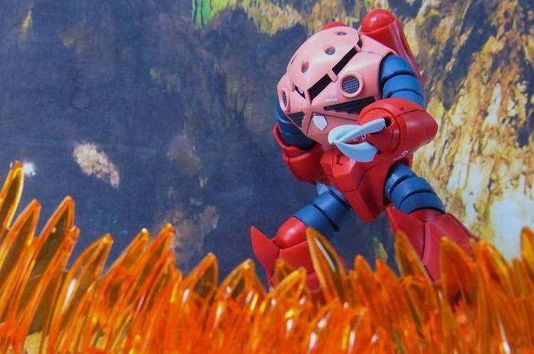 RIMG4795_20131013220139e81