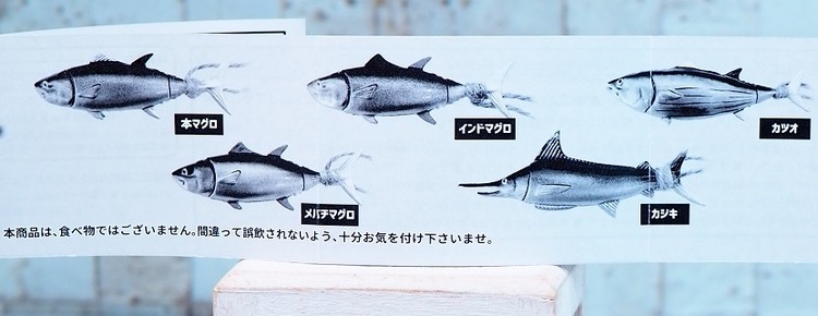 P1099754