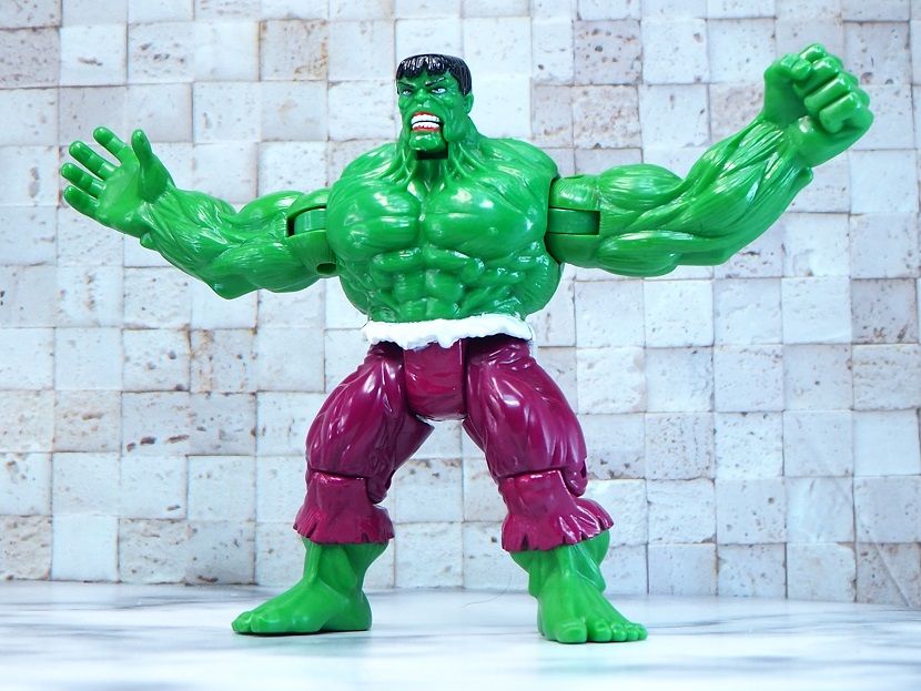トイビズ マーベルユニバース アクションフィギュア ハルク