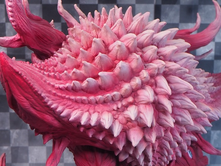 P4257039
