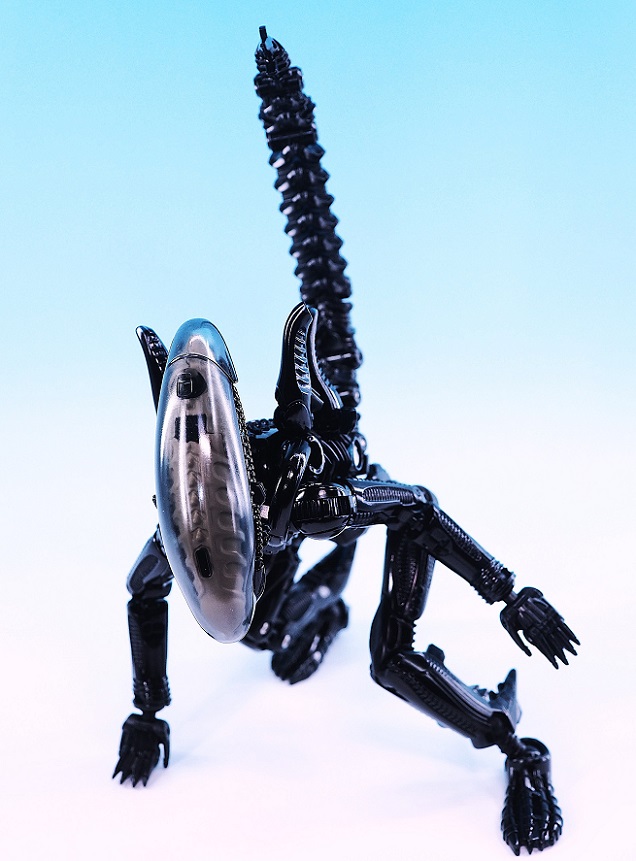 PB180936