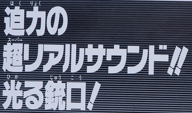 P6288728