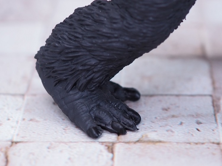 P7189938