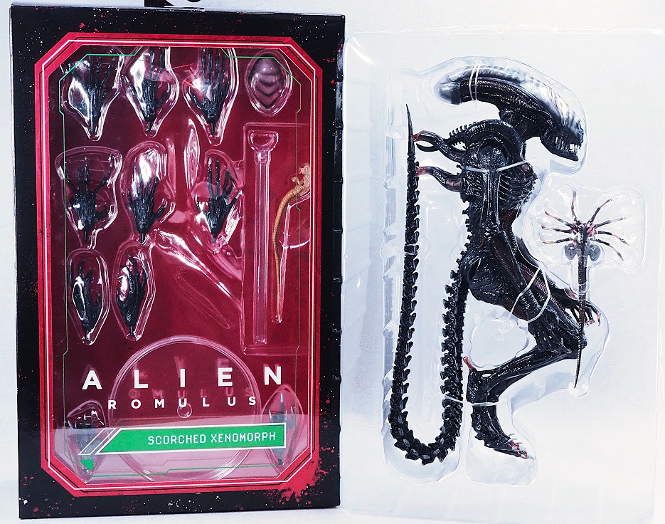 NECA スコーチド ゼノモーフ レビュー : おもちゃの巣(玩具 NECA スコーチド ゼノモーフ レビュー : おもちゃの巣(玩具