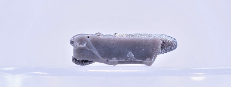 P7125365