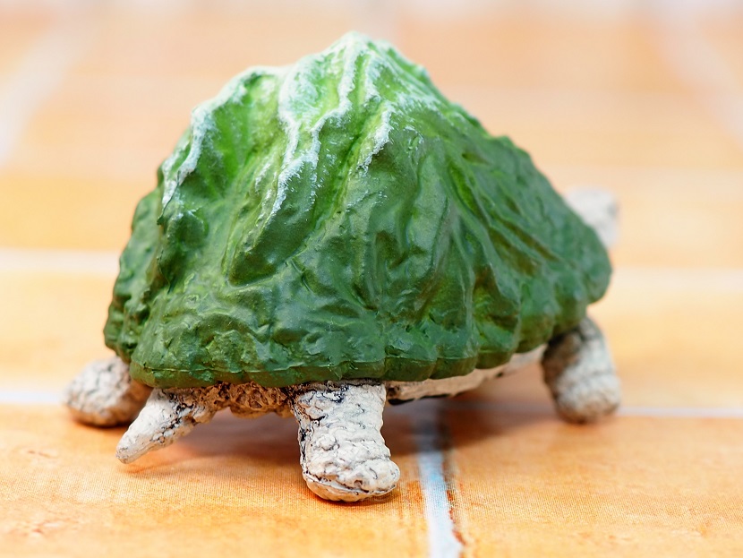 亀です タカラトミーアーツ マウンテンタートルズ レビュー : おもちゃの巣