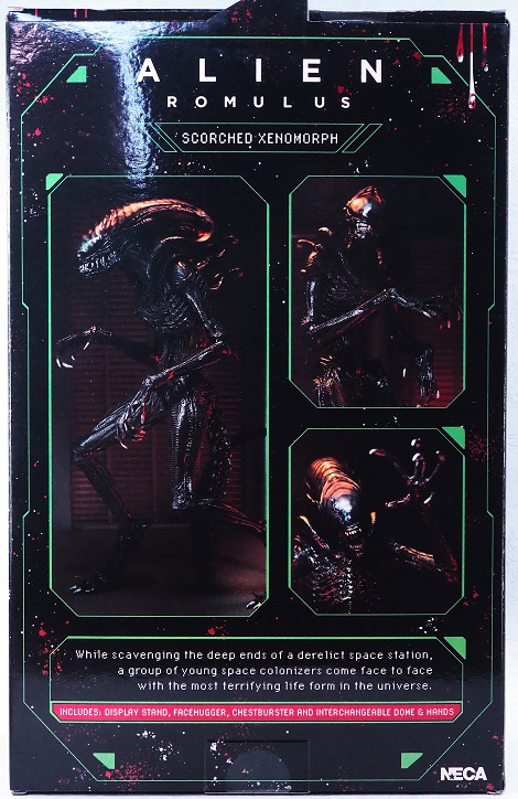 NECA スコーチド ゼノモーフ レビュー : おもちゃの巣(玩具 NECA スコーチド ゼノモーフ レビュー : おもちゃの巣(玩具