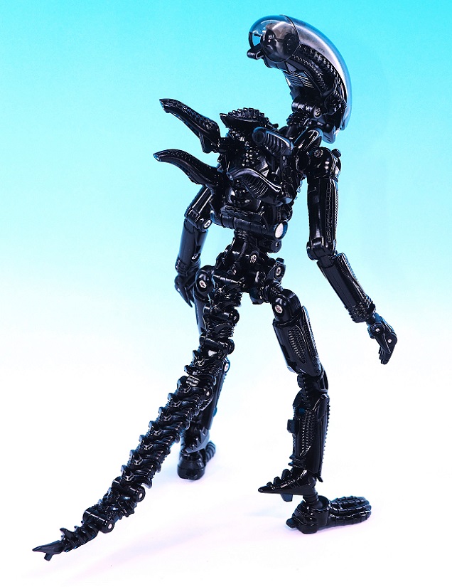 PB170848