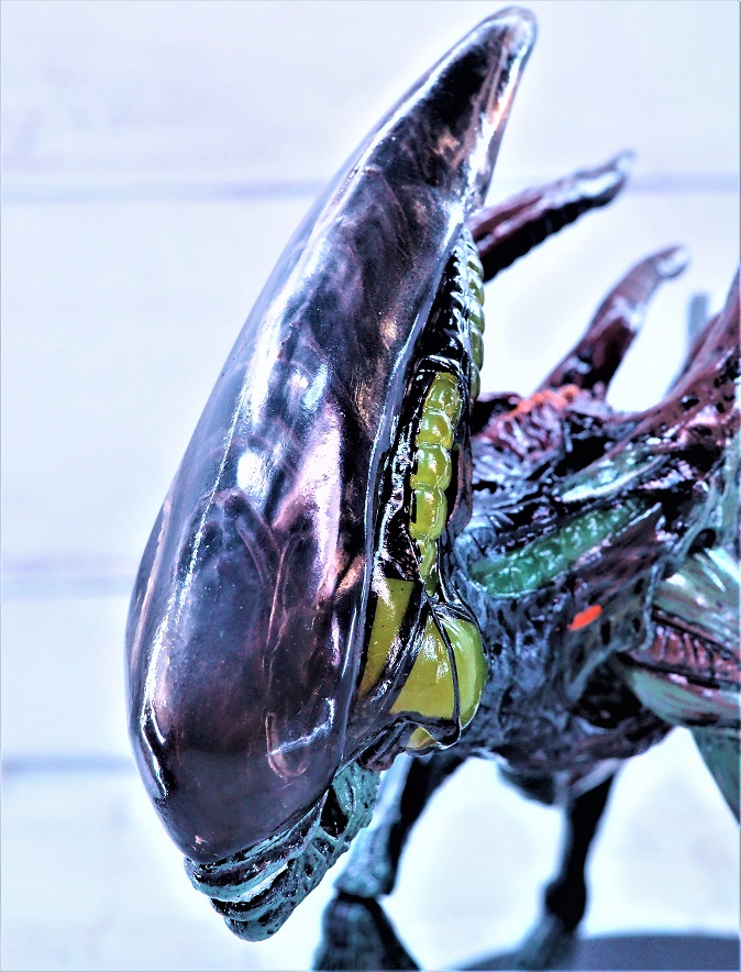 P8296211