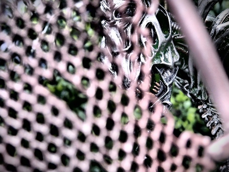P1215515