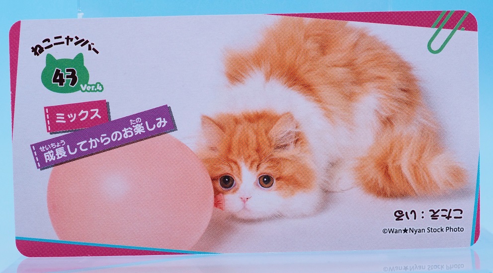 正栄デリシィ きまぐれねこにゃん チョコ : おもちゃの巣（玩具レビュー）