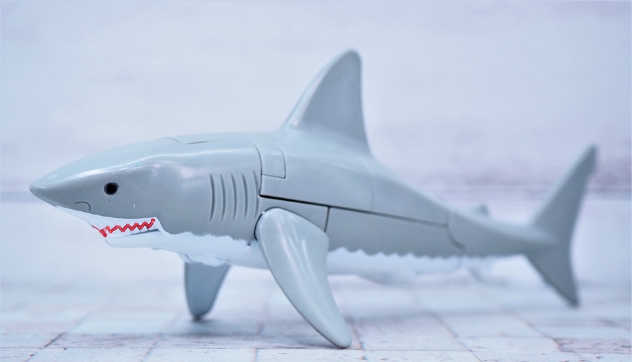 サメ メタルデンジャー『ホホジロザメ』 ｜ 学研出版サイト