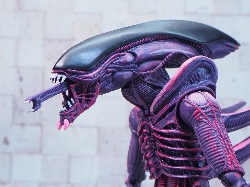 NECA レイザークロウ (RAZOR CRAWS) レビュー : おもちゃの巣