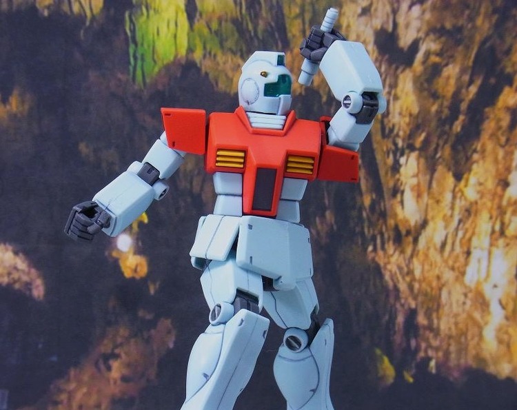 RIMG4741_2013101319010780c