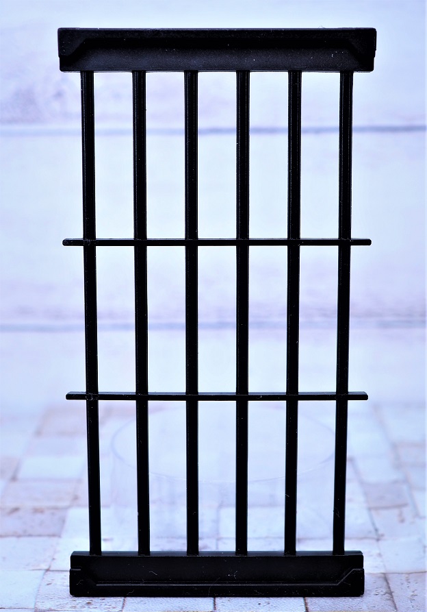 P6043883