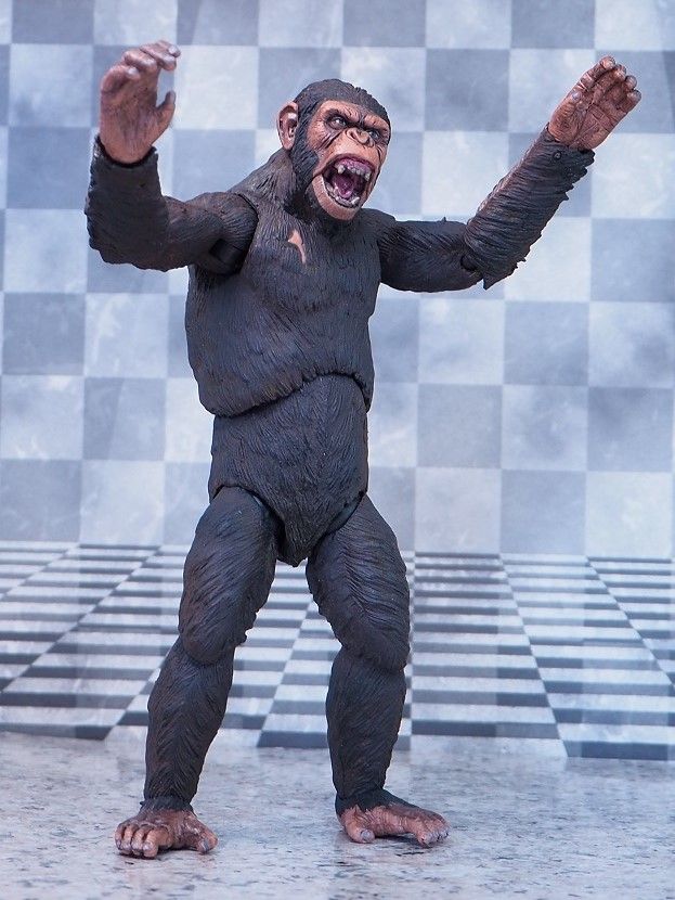 NECA 猿の惑星: 新世紀 シーザー レビュー : おもちゃの巣(玩具 NECA 猿の惑星: 新世紀 シーザー レビュー : おもちゃの巣(玩具