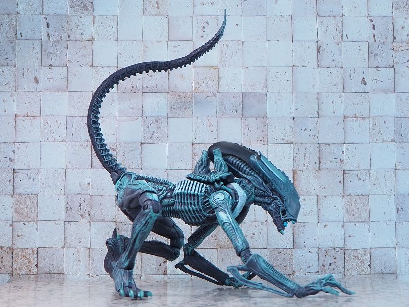 おもちゃの巣 玩具レビュー Neca アラクノイド Arachnoid レビュー おもちゃの巣 玩具レビュー Neca アラクノイド Arachnoid レビュー