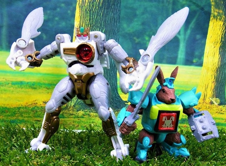 RIMG2035_20121230222118