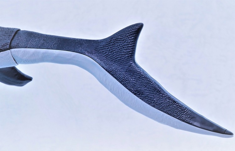 P6244050