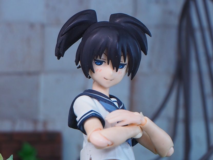 ドゥヴァ 褐色 ドゥヴァ 褐色版