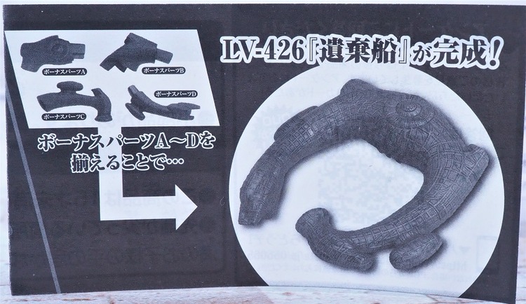 P7283359