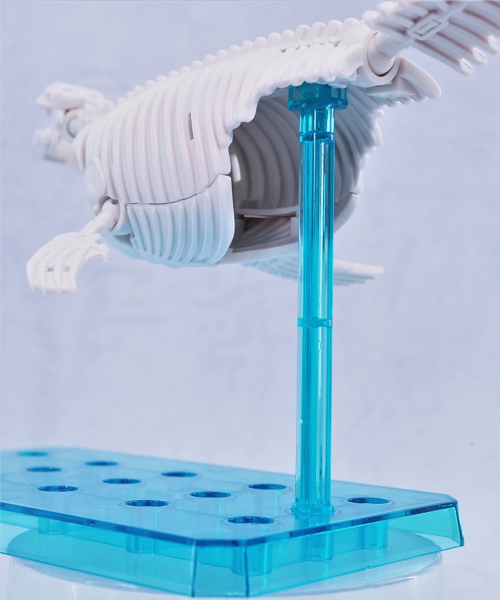 P6244025