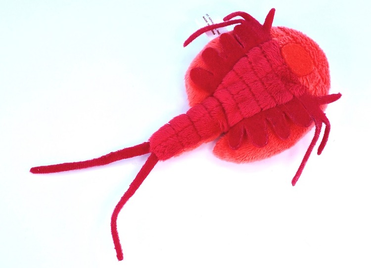 P8302531