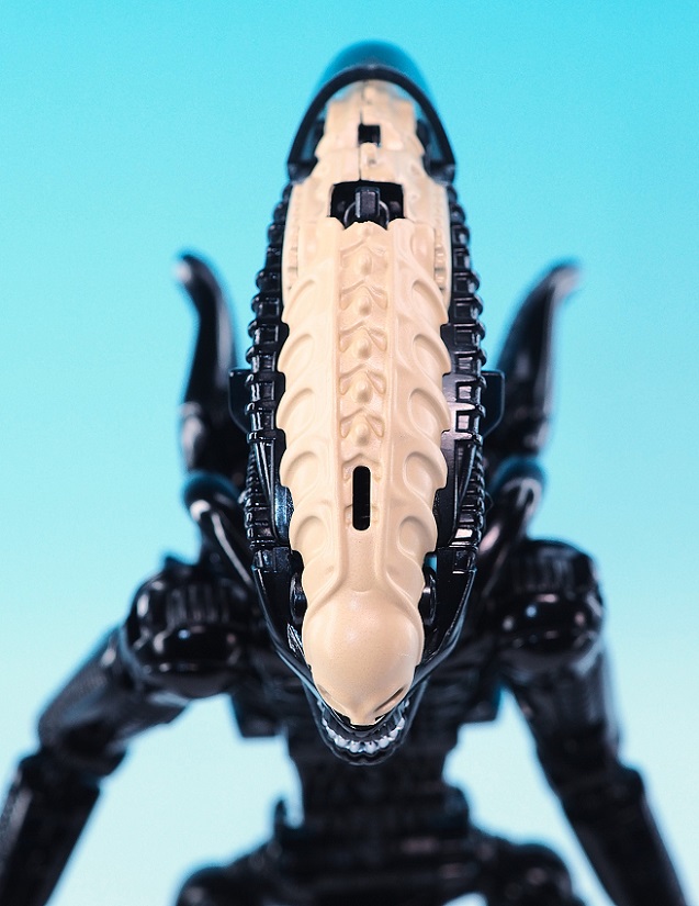 PB170875