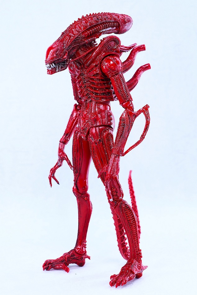 NECA ウォーリアー エイリアン レッド レビュー : おもちゃの巣（玩具