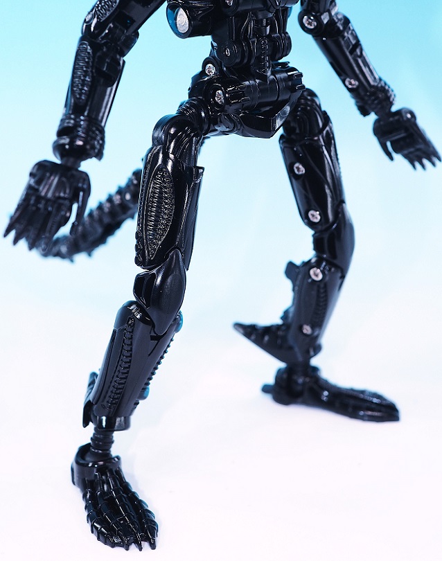 PB170884