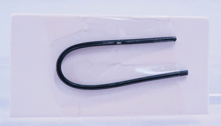 P3310659