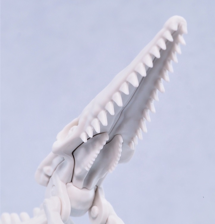 P6244083