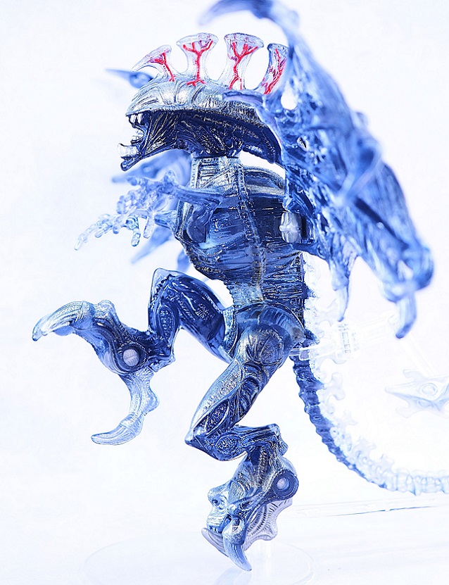 P4302642