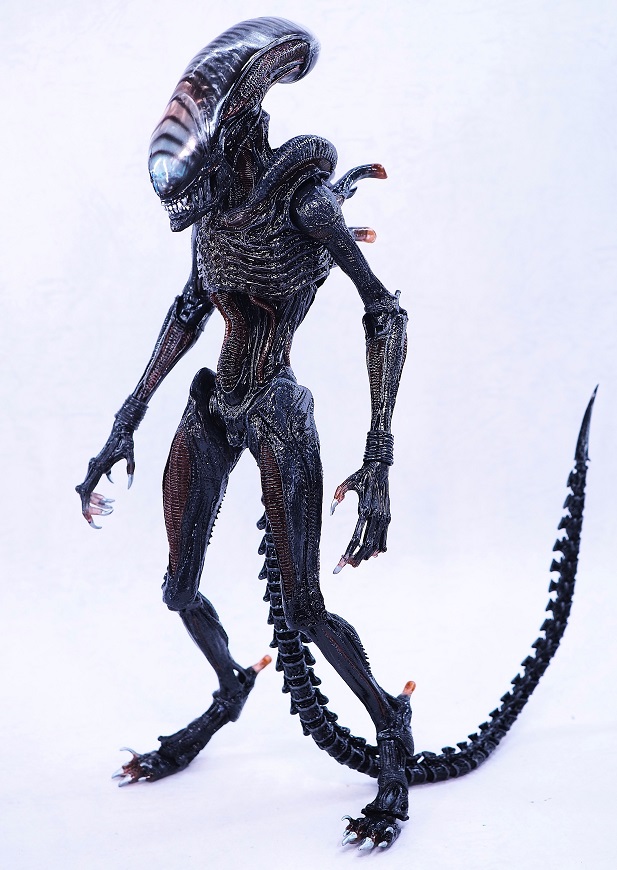 NECA スコーチド ゼノモーフ レビュー : おもちゃの巣(玩具 NECA スコーチド ゼノモーフ レビュー : おもちゃの巣(玩具