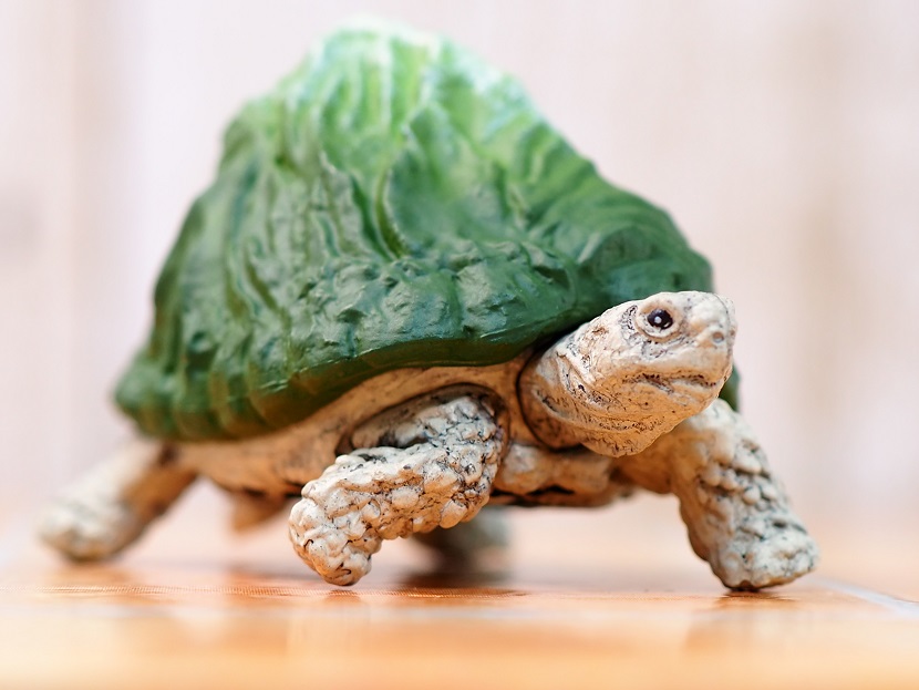 タカラトミーアーツ マウンテンタートルズ レビュー : おもちゃの巣