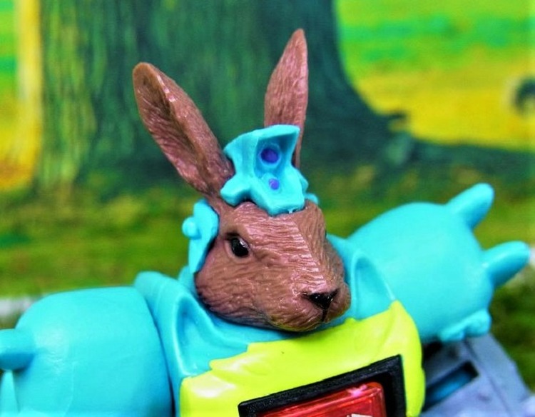 RIMG2029_20121230222116