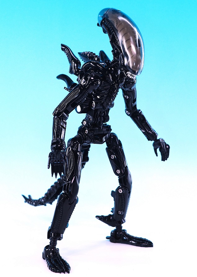 PB170852