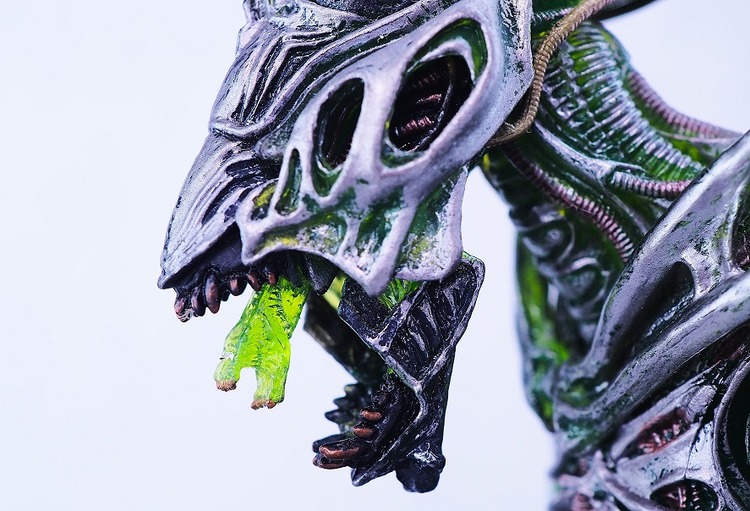 P1096374