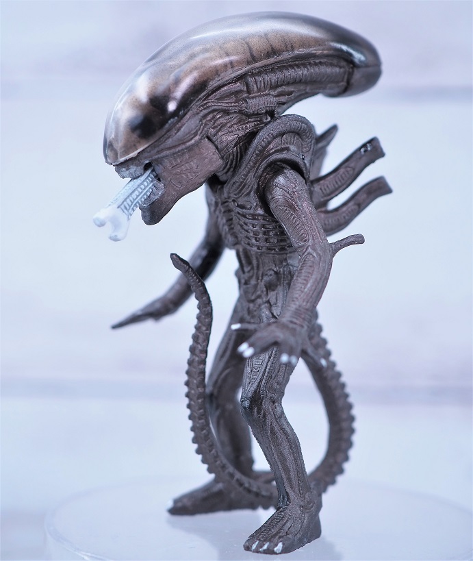 P7283394