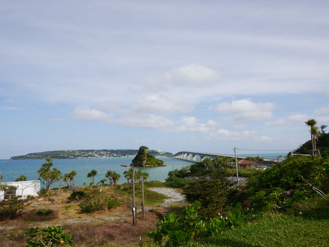 P1020607