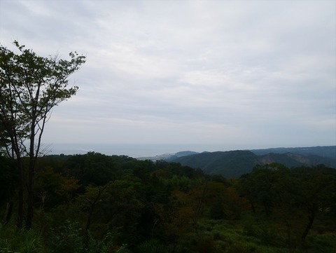 P1000540