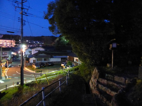 P1020674