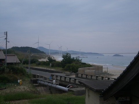 P1000554