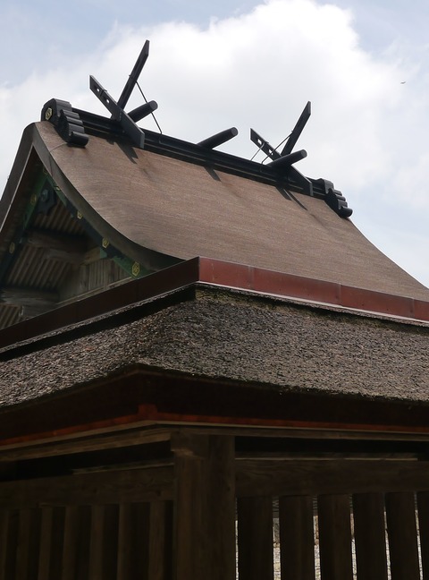 P1020391